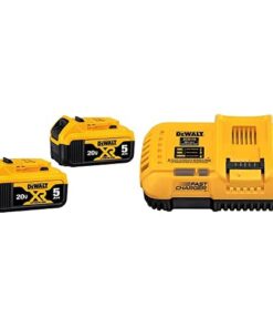DEWALT 20V MAX XR Battery 2-Pack (DCB205-2) FLEXVOLT 20V MAX* Charger (DCB118)