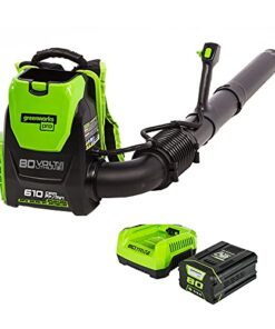 Greenworks 80V (180 MPH / 610 CFM / 75+ Compatible Tools) Cordless Brushless Backpack Blower, 2.5Ah Battery and Rapid Charger Included, Green/Black