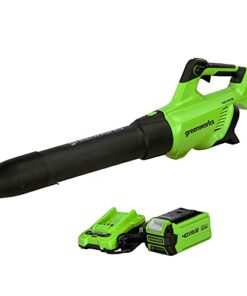 Greenworks 40V (120 MPH / 500 CFM / 75+ Compatible Tools) Cordless Axial Leaf Blower, 2.5Ah Battery and Charger Included