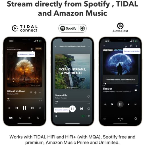 WiiM Pro AirPlay 2 Receiver, Google Cast Audio, WiFi Multiroom Streamer, Compatible with Alexa, Siri and Google Assistant, Stream Hi-Res Audio from Spotify, Amazon Music, Tidal and More - Image 5