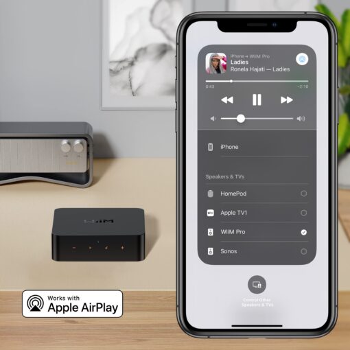 WiiM Pro AirPlay 2 Receiver, Google Cast Audio, WiFi Multiroom Streamer, Compatible with Alexa, Siri and Google Assistant, Stream Hi-Res Audio from Spotify, Amazon Music, Tidal and More - Image 10